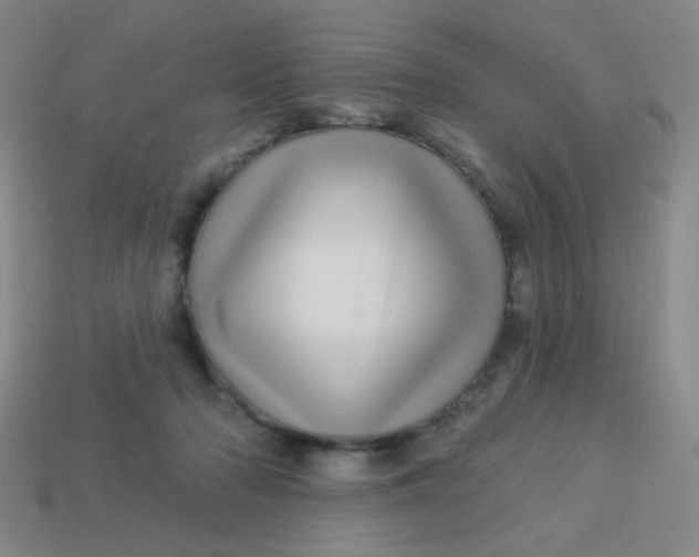 X0000113530318200910091228