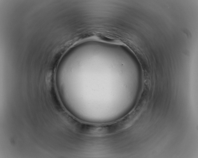 X0000113530319200910091228