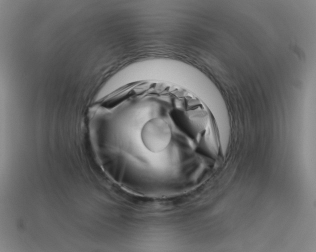 X0000113530320200910091228