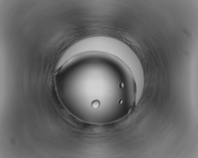 X0000113530325200910091228