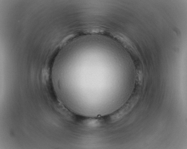 X0000113530326200910091228