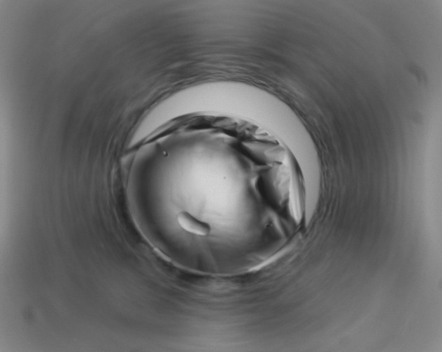 X0000113530327200910091228