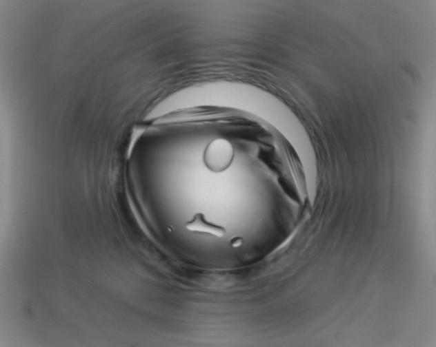 X0000113530328200910091228