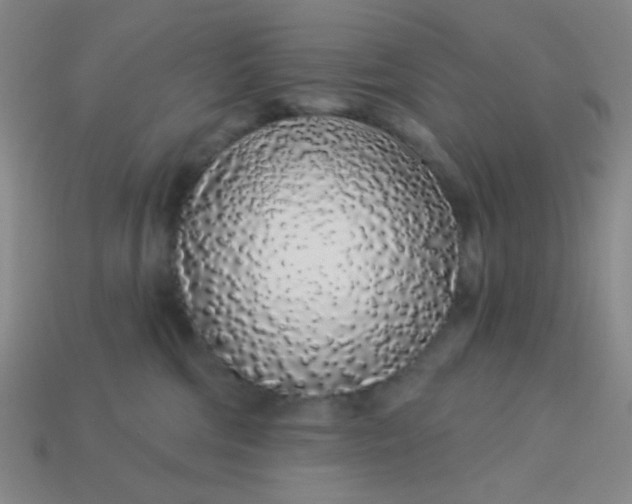 X0000113530330200910091228