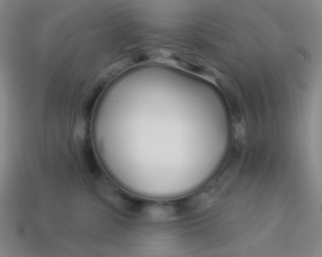 X0000113530331200910091228