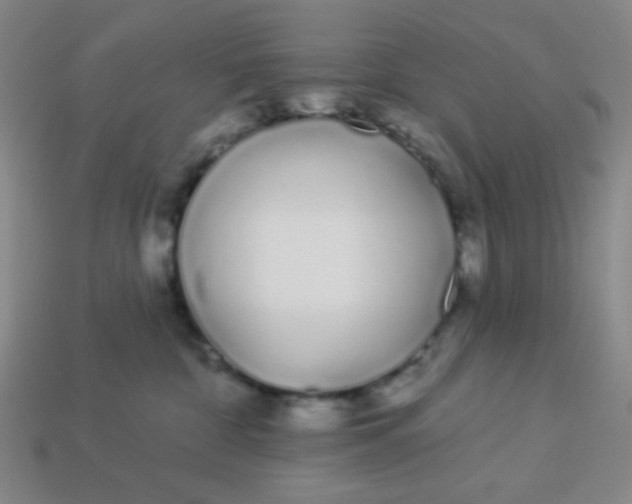 X0000113530332200910091228