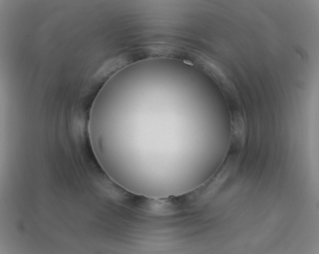 X0000113530333200910091228