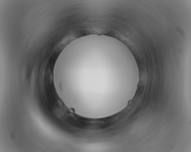 X0000113530334200910091228