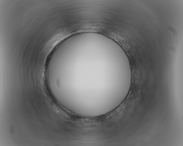 X0000113530338200910091227