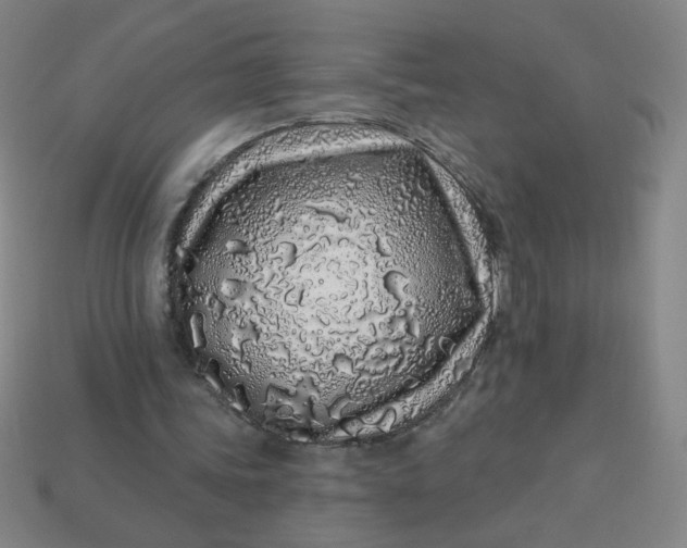 X0000113530339200910091227