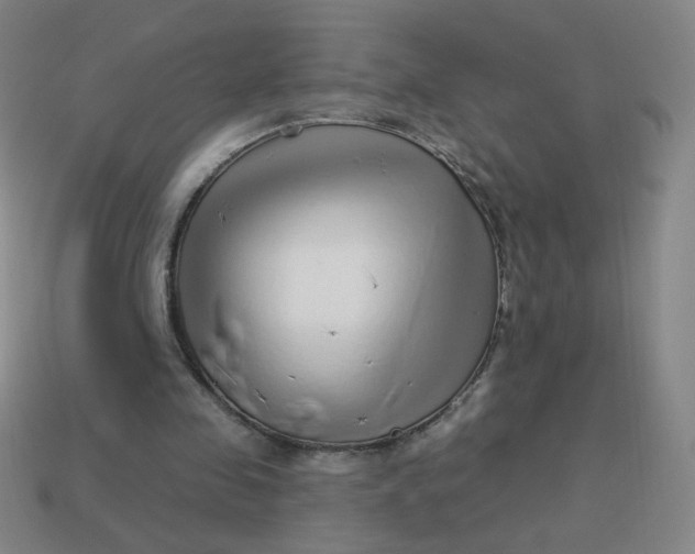 X0000113530341200910091227