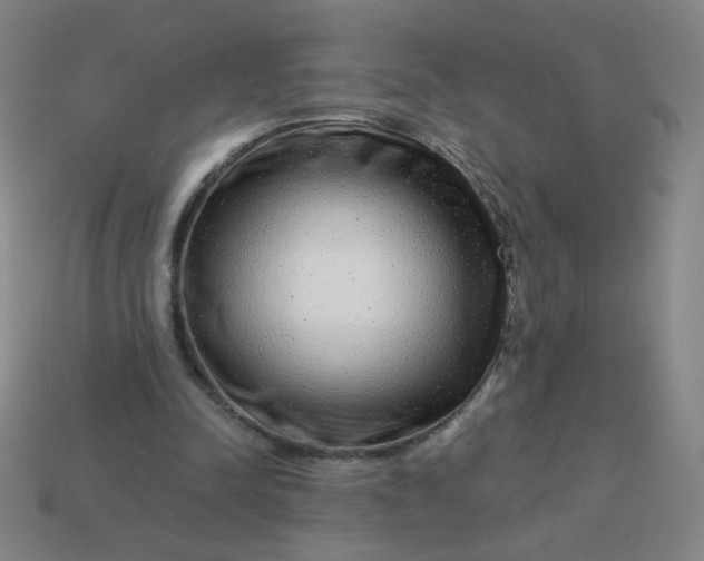 X0000113530342200910091227