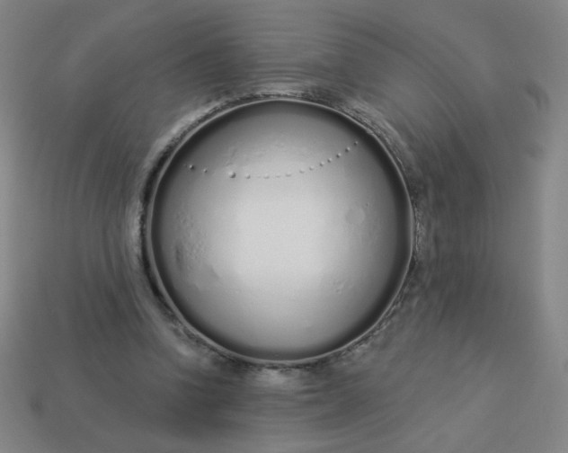 X0000113530346200910091227