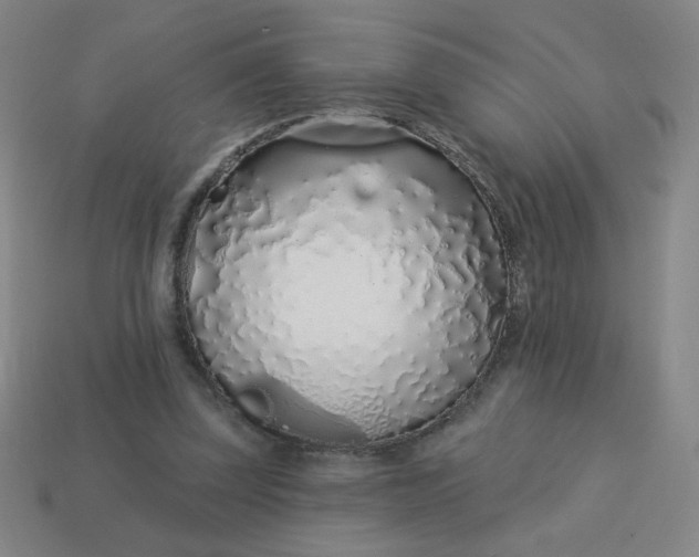 X0000113530347200910091227