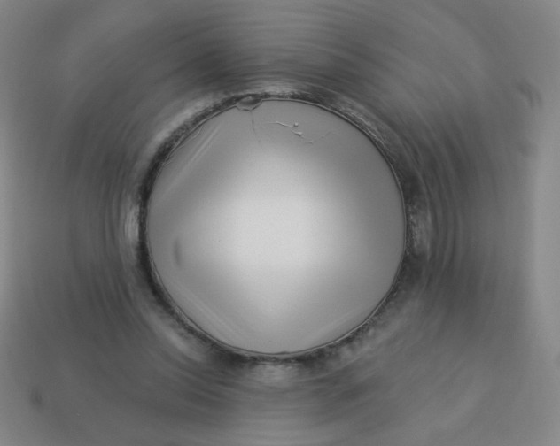 X0000113530350200910091227