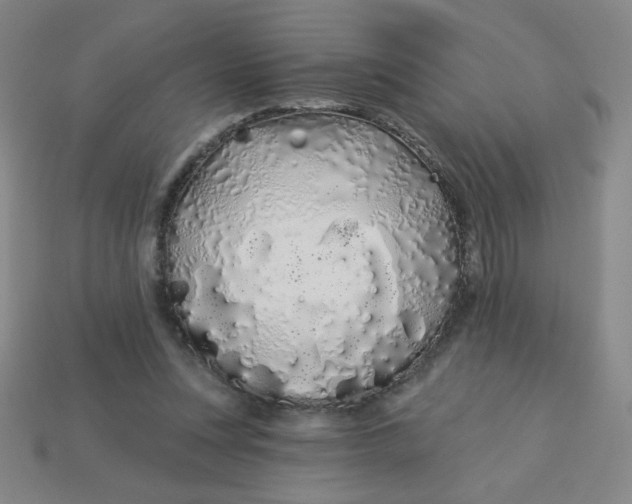 X0000113530351200910091227