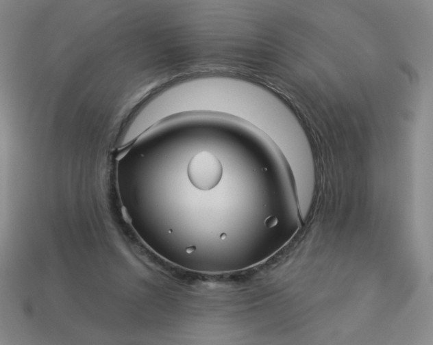 X0000113530352200910091227