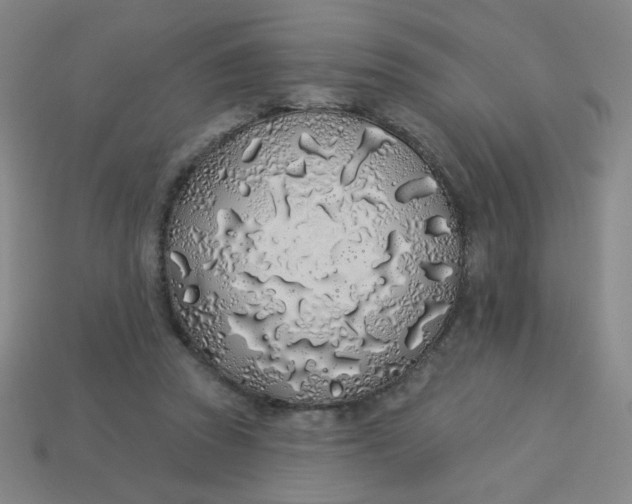 X0000113530353200910091227