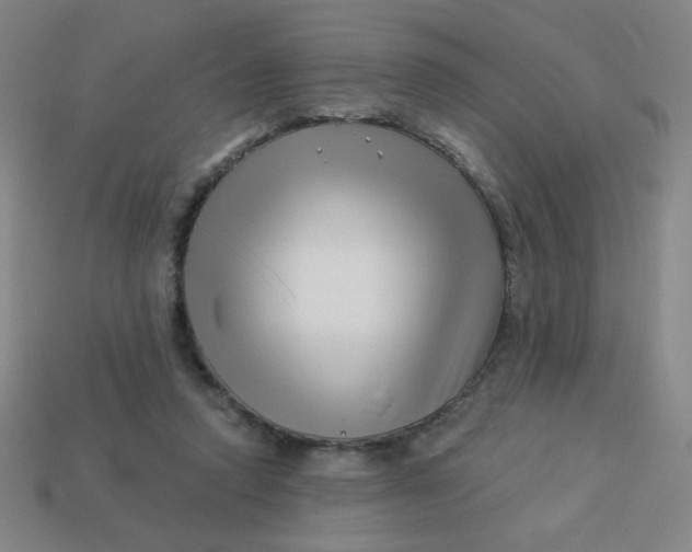 X0000113530354200910091227