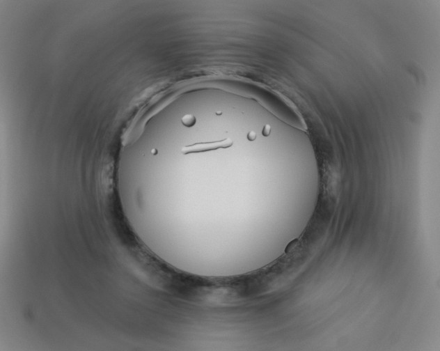 X0000113530356200910091227