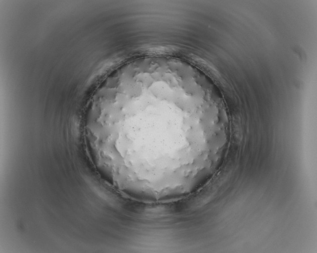 X0000113530357200910091227