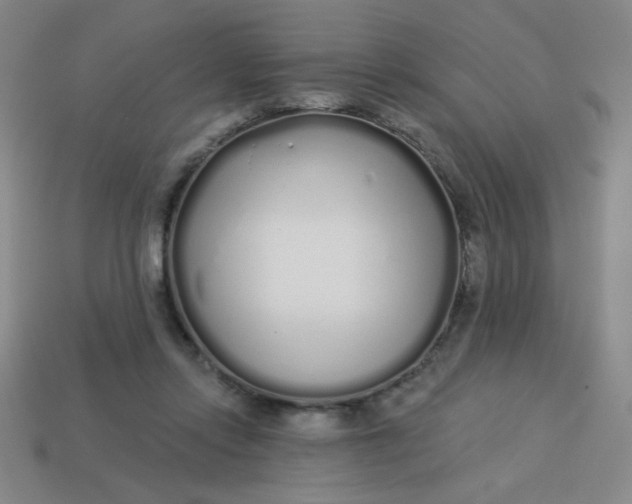 X0000113530358200910091227