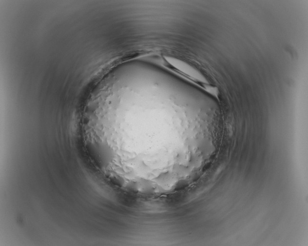 X0000113530359200910091227