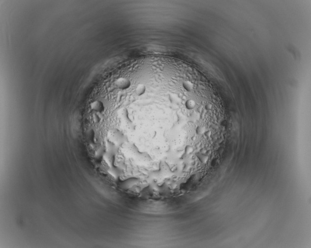 X0000113530361200910091227