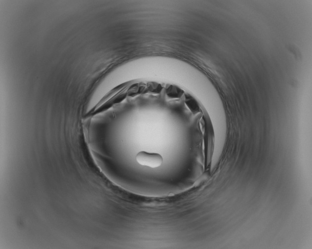 X0000113530362200910091227