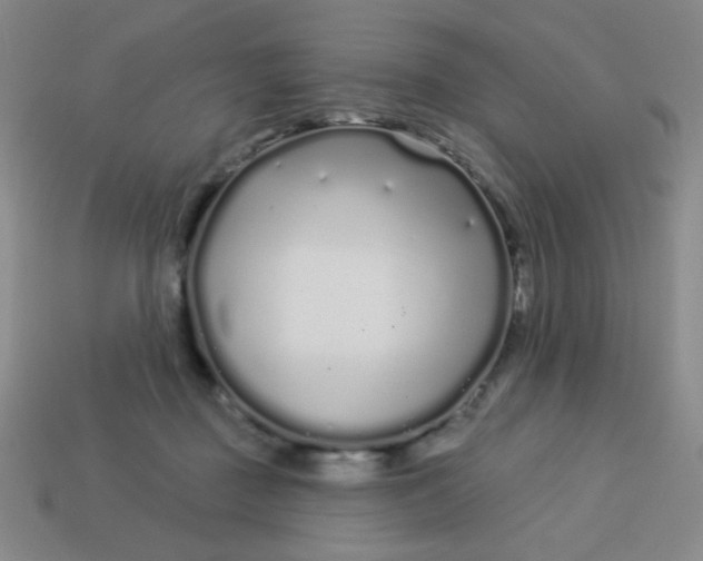 X0000113530363200910091227