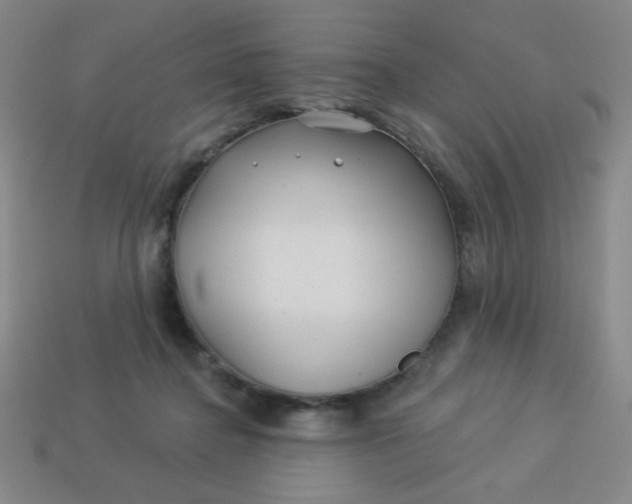 X0000113530364200910091227