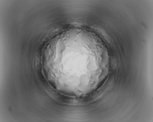 X0000113530365200910091227