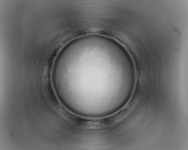 X0000113530366200910091228