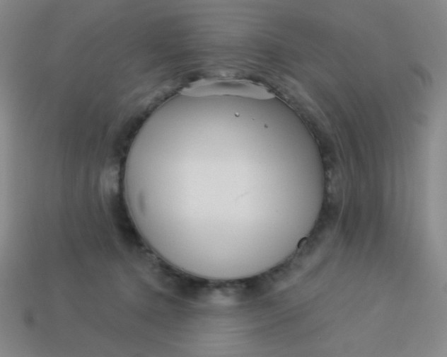 X0000113530368200910091228