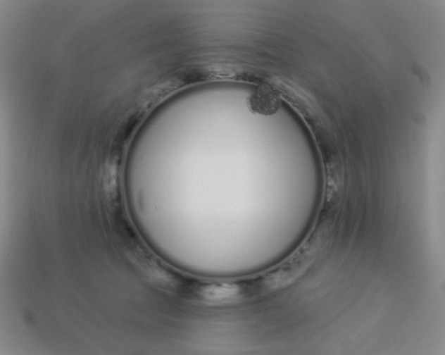 X0000113530369200910091228