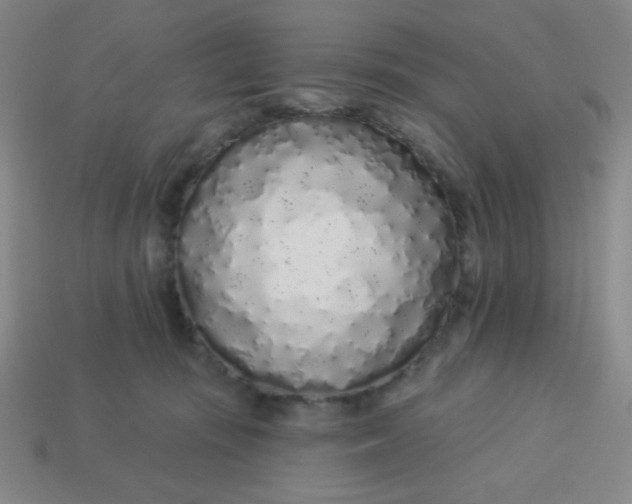 X0000113530371200910091228