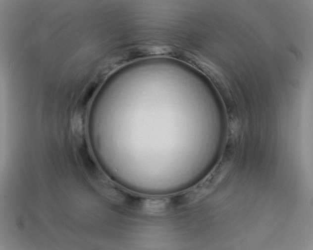 X0000113530373200910091228