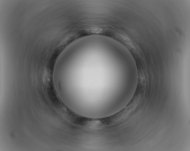 X0000113530374200910091228