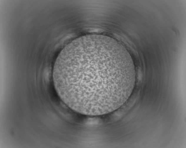 X0000113530376200910091228