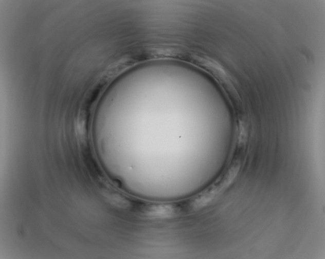 X0000113530377200910091228