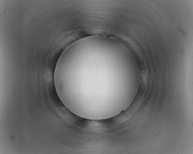 X0000113530380200910091228