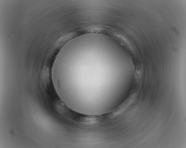 X0000113530381200910091228