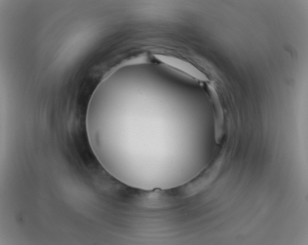 X0000113530382200910091228