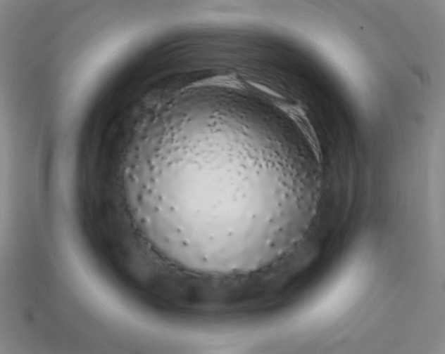 X0000113530383200910091228