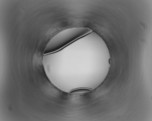 X0000113530384200910091228