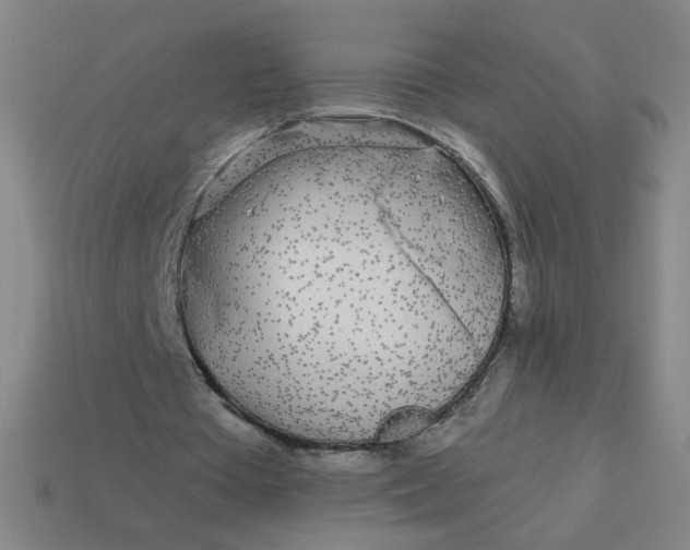 X0000113530385200910091227