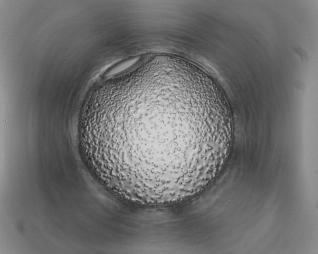 X0000113530386200910091227