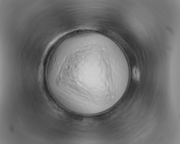 X0000113530388200910091227