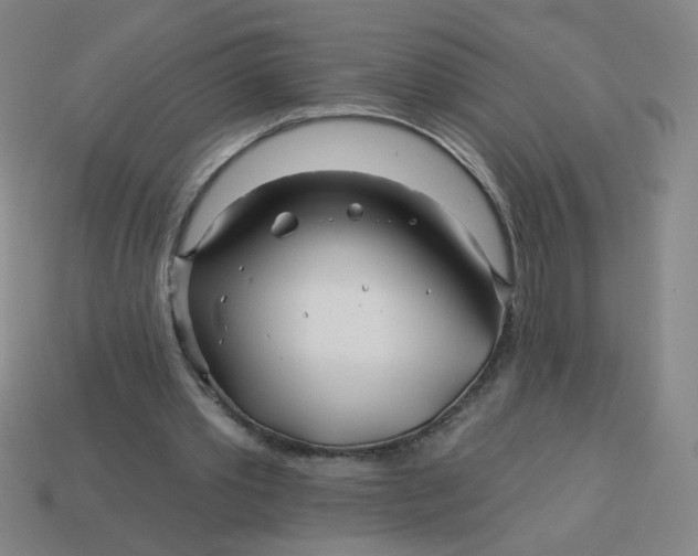 X0000113530389200910091227