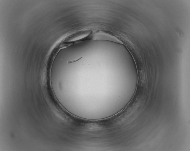 X0000113530392200910091227